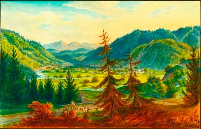 bukovyna XIX
