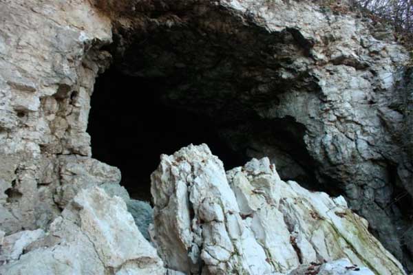 bukovyna-zastavnivschyna