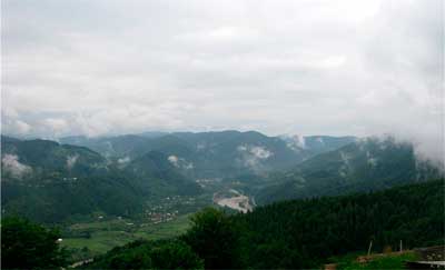 bukovyna-putylschyna-roztoky