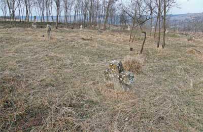 bukovyna-sokyrianschyna-ozheve