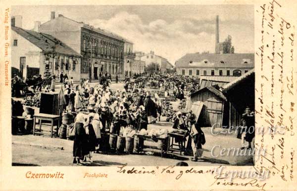 oph 011 004 01