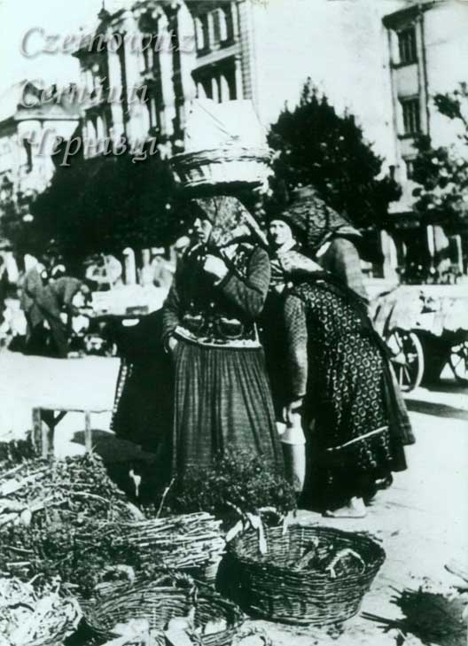 oph 011 014 01